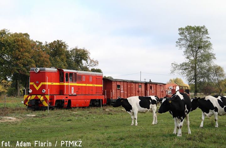 Pociąg "Jesień na Żuławach" w Prawym Brzegu Wisły, fot. A. Florin